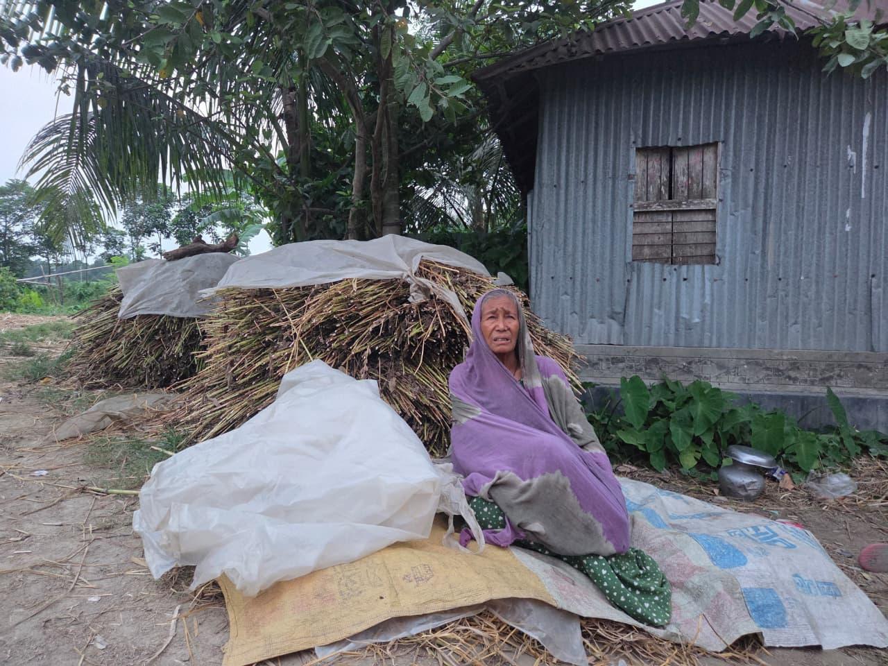 সংযুক্ত ছবি